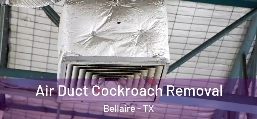 Air Duct Cockroach Removal Bellaire - TX
