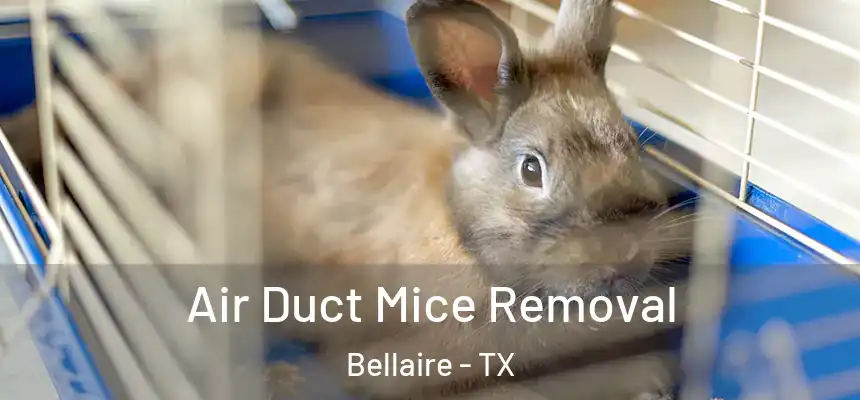  Air Duct Mice Removal Bellaire - TX