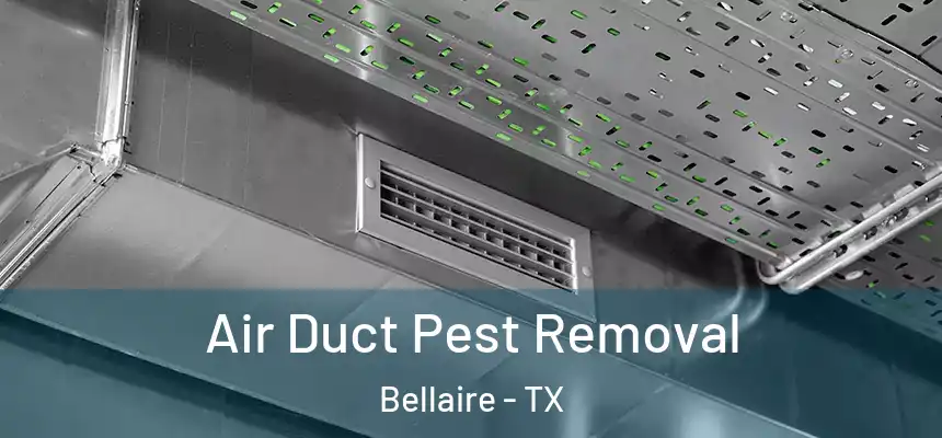  Air Duct Pest Removal Bellaire - TX
