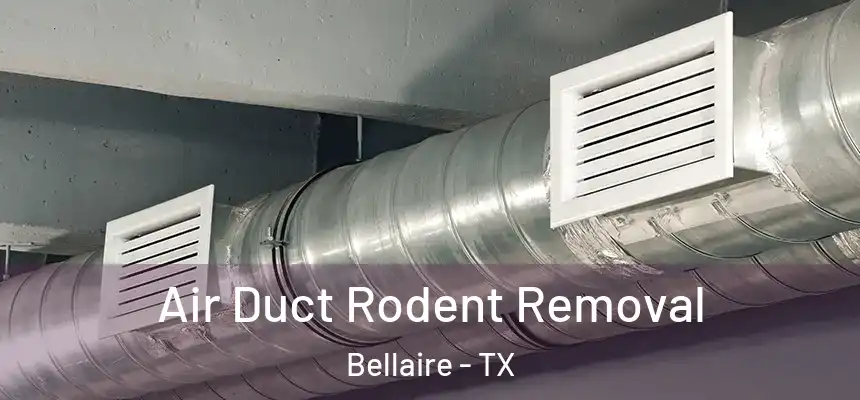  Air Duct Rodent Removal Bellaire - TX