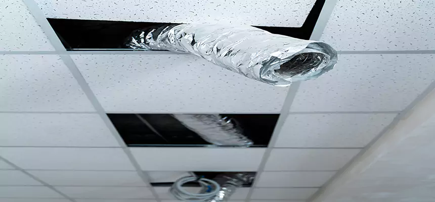 Our Air Duct Pet Hair Removal Services in Bellaire, TX