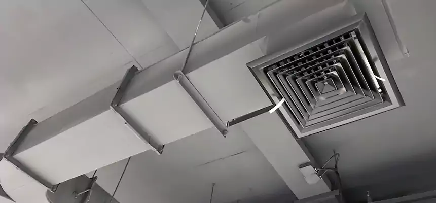 Restorative Allergy Relief Vent Cleaning – Coil, Blower & Housing Detail in Bellaire