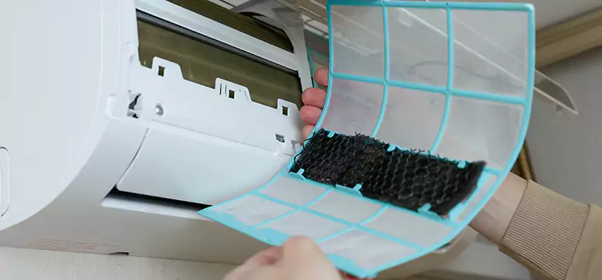 Gentle Ductwork Odor-Control Pet Dander Duct Cleaning in Bellaire, TX