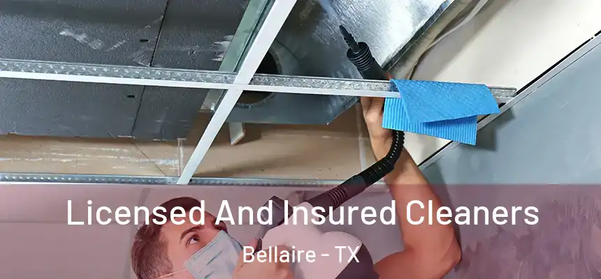 Licensed And Insured Cleaners Bellaire - TX