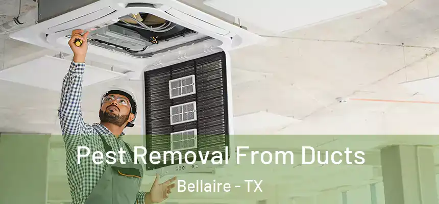 Pest Removal From Ducts Bellaire - TX