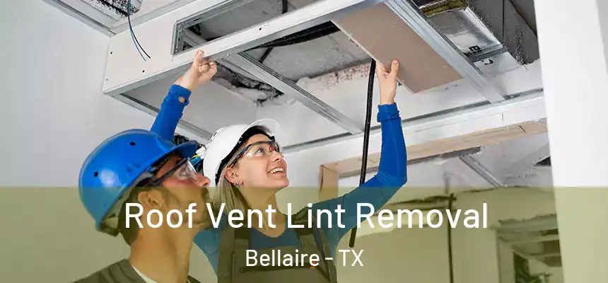 Roof Vent Lint Removal Bellaire - TX
