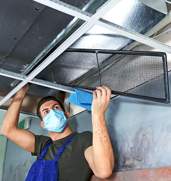 About Air Duct Bacteria Removal in Bellaire