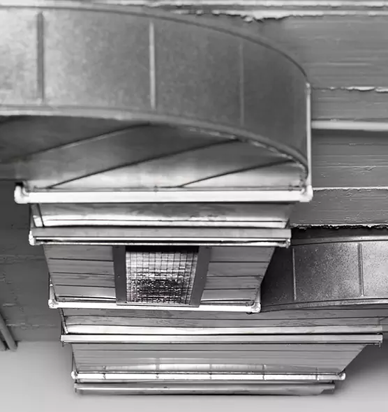 Professional Air Duct Pet Hair Removal in Bellaire, TX