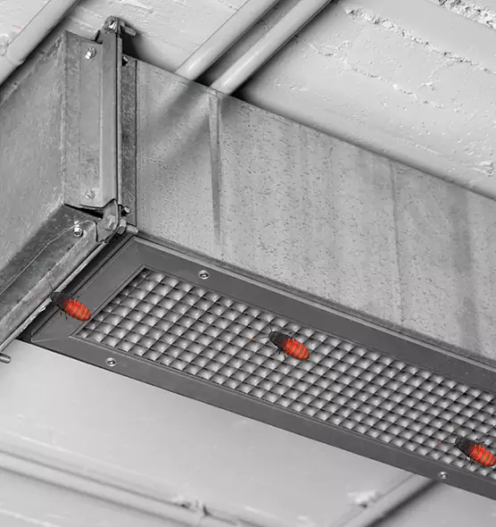 Affordable Insect Removal from Air Ducts in Bellaire, TX