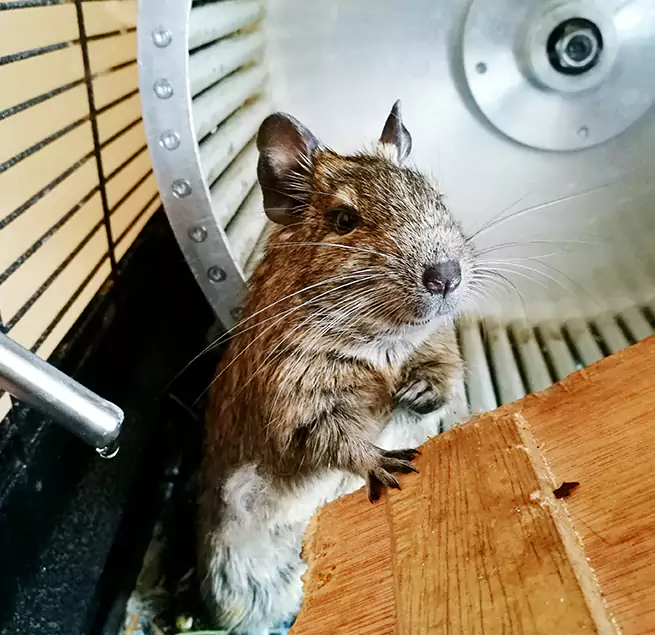 Why Homeowners & Businesses Trust Us Bellaire, TX